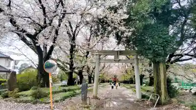 東蕗田天満社(茨城県)