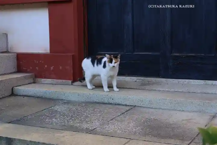 東神奈川熊野神社(神奈川県)