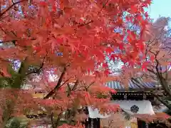 禅林寺（永観堂）(京都府)