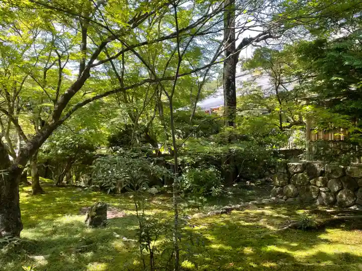 西芳寺(京都府)