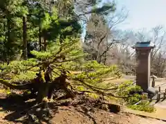 土津神社｜こどもと出世の神さまの庭園