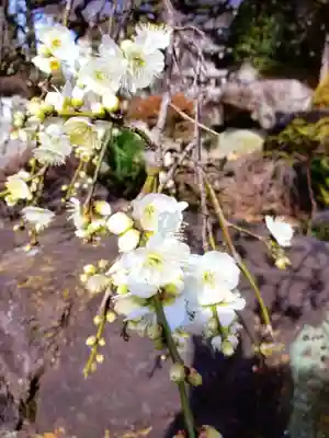 松應寺(東京都)