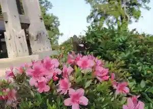 観音正寺の自然(2021年06月09日(水) 19時49分46秒投稿)