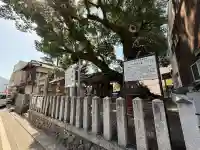 大神社の{uncategorized: "未分類", other: "その他", undefined: "問題あり", building: "その他建物", grave: "お墓", sacred_gate: "鳥居", guardian: "狛犬", statue: "像", buddha: "仏像", history: "歴史", nature: "自然", garden: "庭園", animal: "動物", pagoda: "塔", temizu: "手水舎", mountain_gate: "山門・神門", sanctuary: "本殿・本堂", subordinate: "末社・摂社", art: "芸術", scenery: "景色", jizo: "地蔵", ema: "絵馬", goshuin: "御朱印", omikuji: "おみくじ", items: "授与品その他", amulet: "お守り", goshuincho: "御朱印帳", eats: "食事", festival: "お祭り", votive_dance: "神楽", shichigosan: "七五三参", wedding: "結婚式", experience: "体験その他", initially: "初詣", around: "周辺", anti_infection: "感染症対策"}