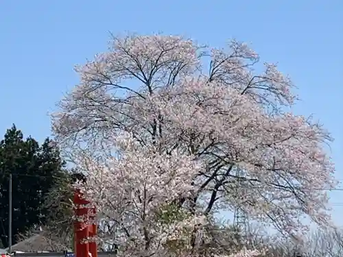 秋保神社の自然
