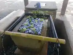 大鳥神社の手水