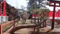 日光二荒山神社中宮祠の自然