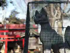 羽根木神社の狛犬