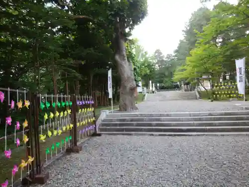 上川神社の庭園