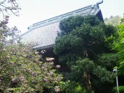 妙本寺のその他建物