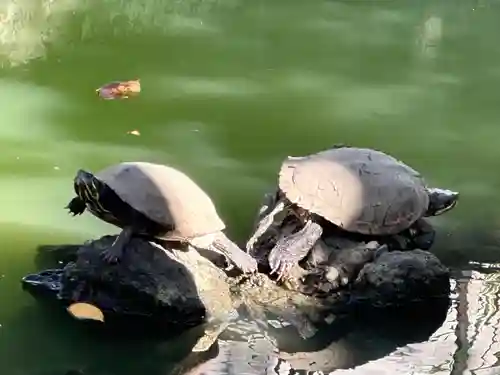 磐井神社(東京都)