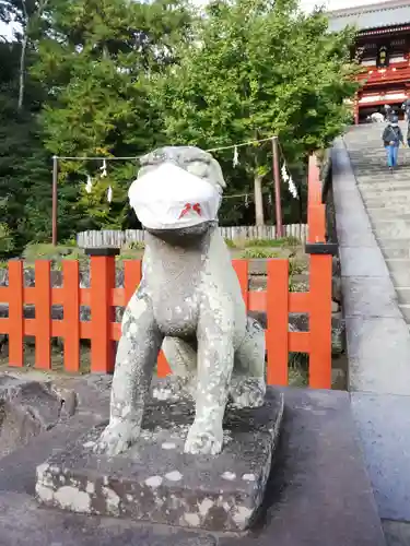 鶴岡八幡宮の狛犬