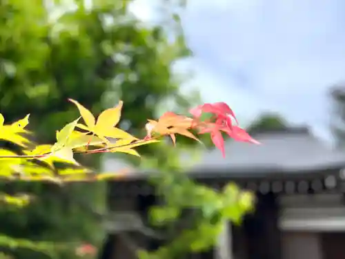 小泉寺(長野県)