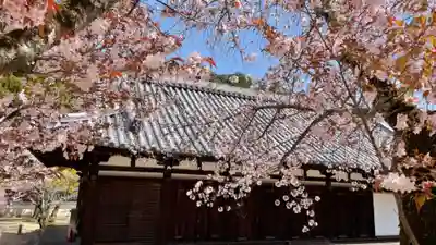 金剛寺(大阪府)