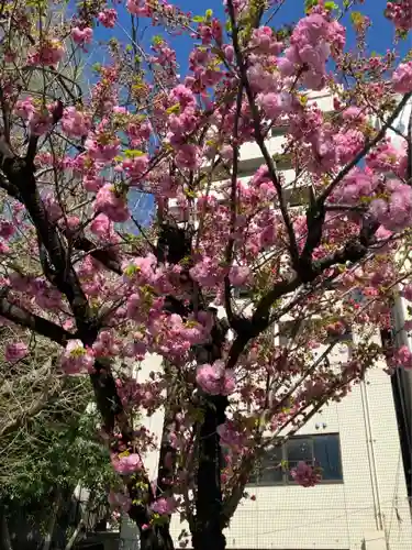 寛永寺不忍池弁天堂の自然