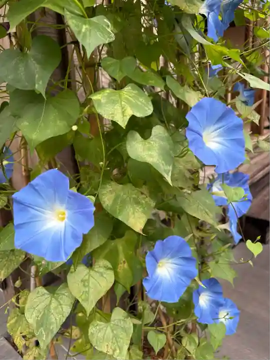 円通院(宮城県)