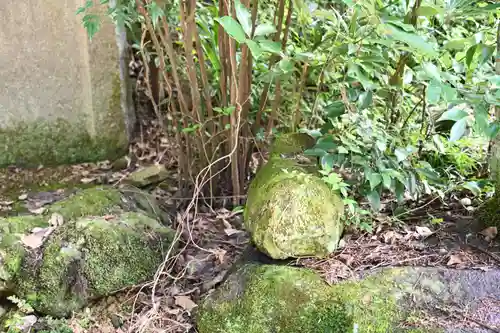 白鳥神社(徳島県)