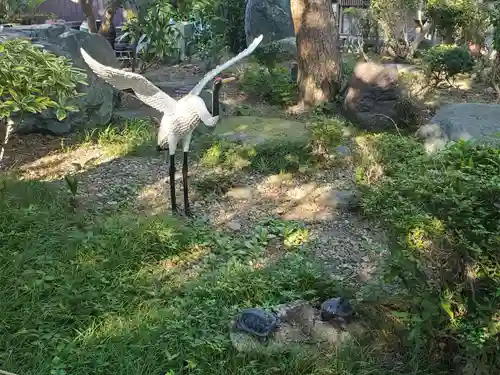 萬松山 龍台院の狛犬