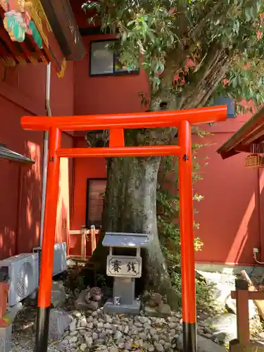 大杉神社(茨城県)