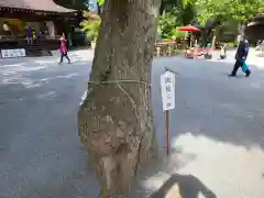 七社神社の自然