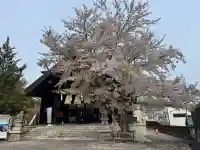 龍宮神社の{uncategorized: "未分類", other: "その他", undefined: "問題あり", building: "その他建物", grave: "お墓", sacred_gate: "鳥居", guardian: "狛犬", statue: "像", buddha: "仏像", history: "歴史", nature: "自然", garden: "庭園", animal: "動物", pagoda: "塔", temizu: "手水舎", mountain_gate: "山門・神門", sanctuary: "本殿・本堂", subordinate: "末社・摂社", art: "芸術", scenery: "景色", jizo: "地蔵", ema: "絵馬", goshuin: "御朱印", omikuji: "おみくじ", items: "授与品その他", amulet: "お守り", goshuincho: "御朱印帳", eats: "食事", festival: "お祭り", votive_dance: "神楽", shichigosan: "七五三参", wedding: "結婚式", experience: "体験その他", initially: "初詣", around: "周辺", anti_infection: "感染症対策"}