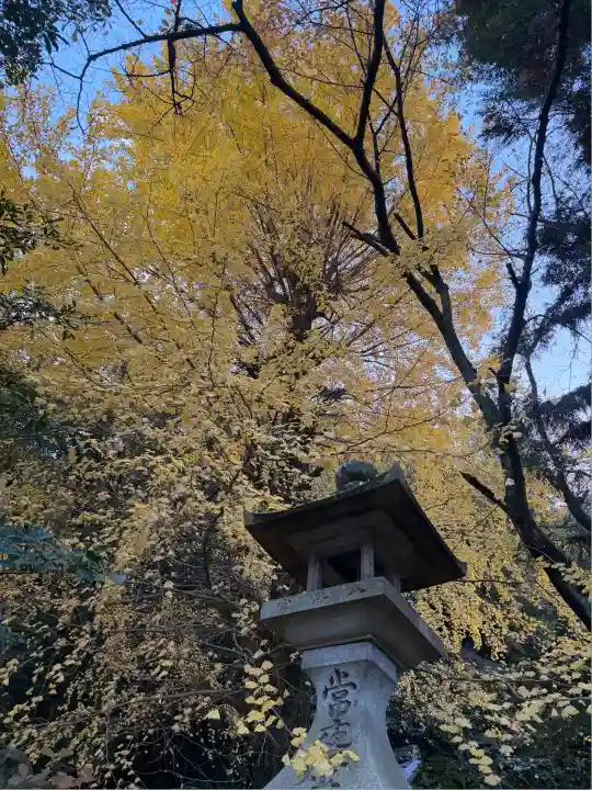 高良神社(京都府)