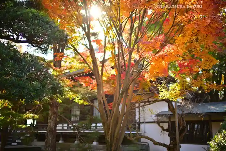 東漸寺(千葉県)