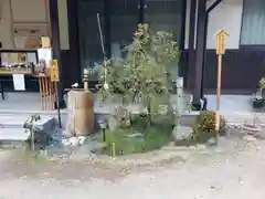 天満神社の自然