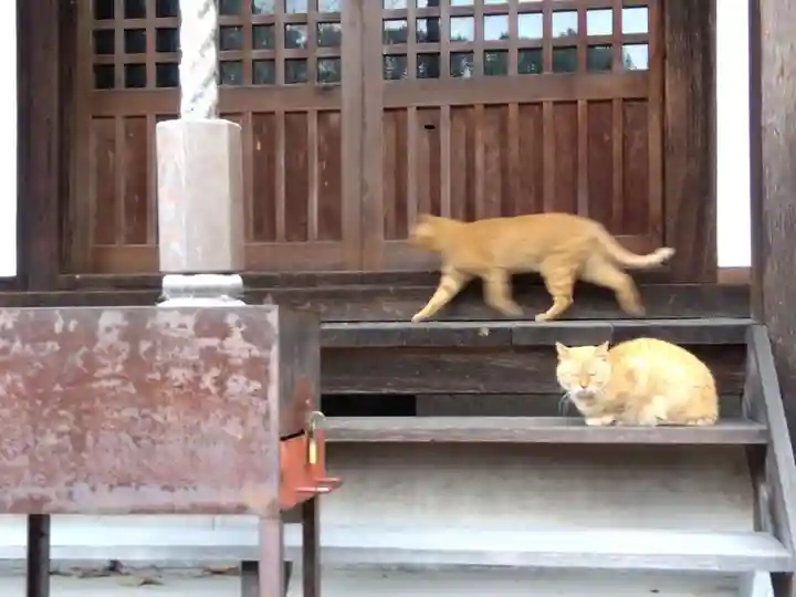 平林寺(兵庫県)