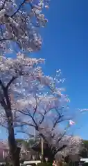 尾張大國霊神社（国府宮）の自然