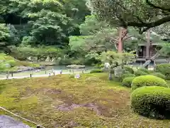 青蓮院門跡の庭園