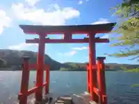 箱根神社の鳥居
