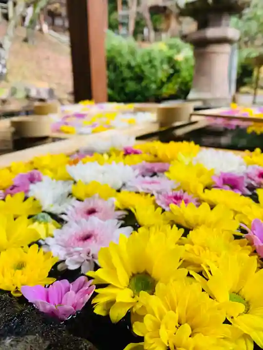 土津神社|こどもと出世の神さまの手水舎
