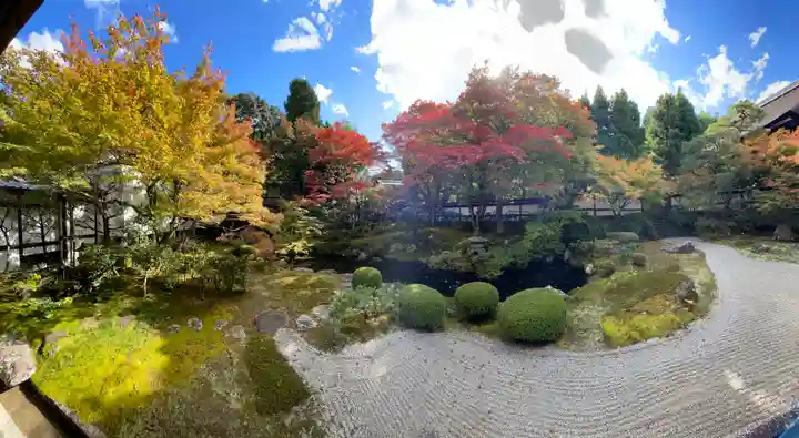 御寺 泉涌寺(京都府)