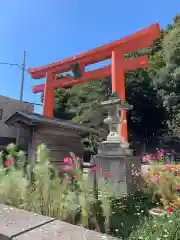 藤島神社（贈正一位新田義貞公之大宮）(福井県)