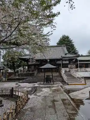 新井薬師（梅照院）(東京都)