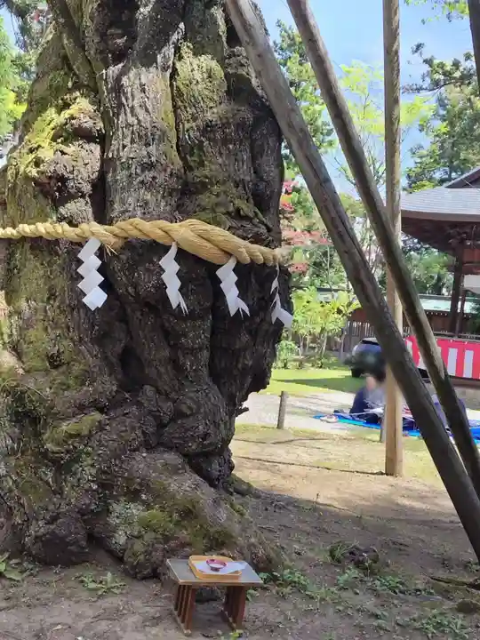 蠶養國神社(福島県)