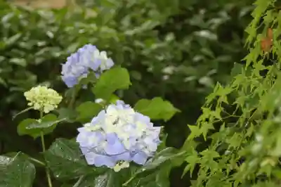 真正極楽寺(真如堂)(京都府)