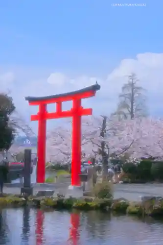 富士山本宮浅間大社(静岡県)