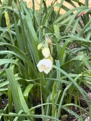 駒形大重神社(奈良県)