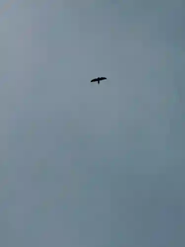 海住山寺(京都府)