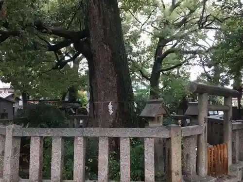 旭神社の自然