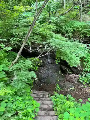 戸隠神社奥社(長野県)