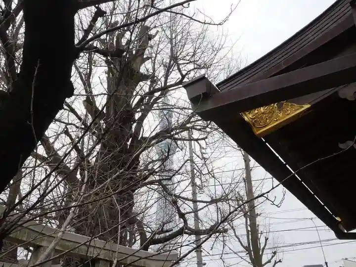 飛木稲荷神社の自然