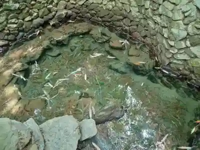 隨心院(随心院)(京都府)