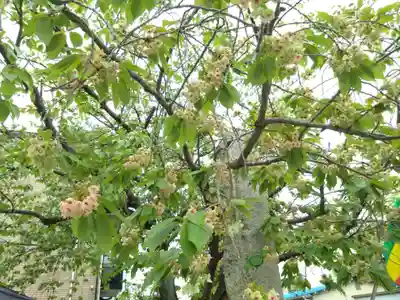 覚照寺(愛知県)