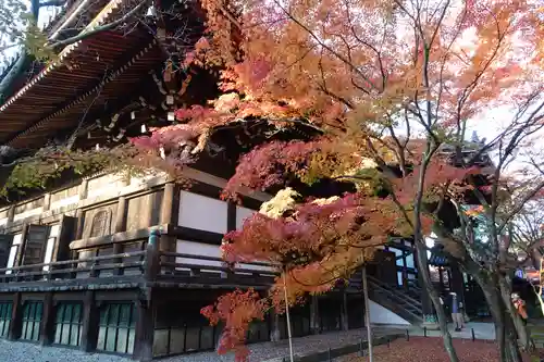 真正極楽寺（真如堂）(京都府)
