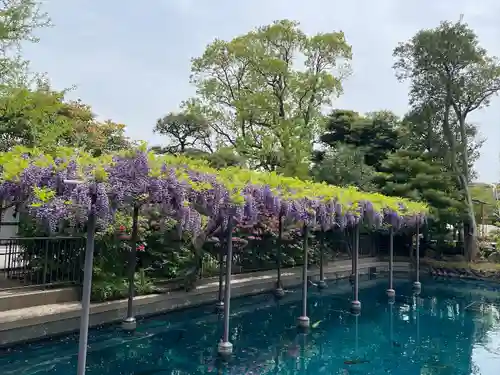 川崎大師（平間寺）(神奈川県)