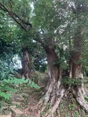 八幡神社の自然