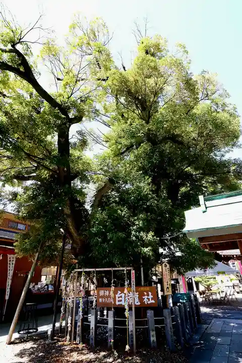 伊奴神社(愛知県)